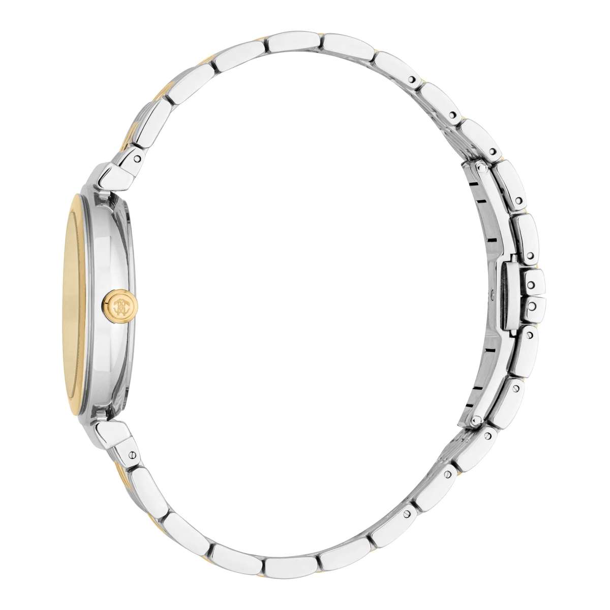 Roberto Cavalli Watch with 44mm Case Size
