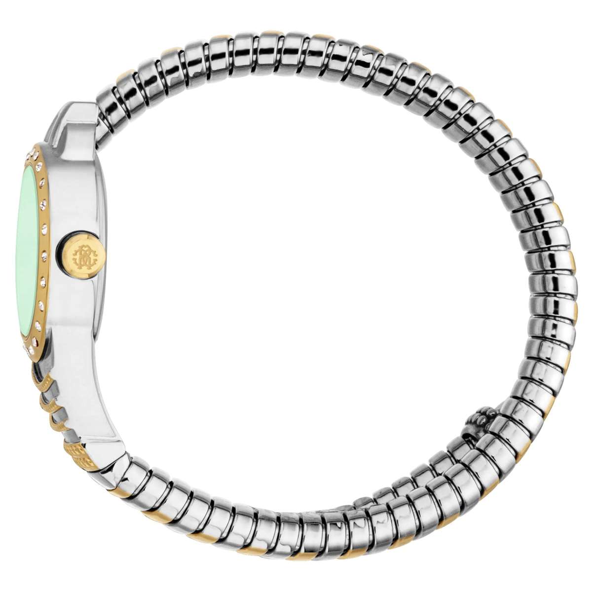 Roberto Cavalli Lady Watch with 38mm Case Size