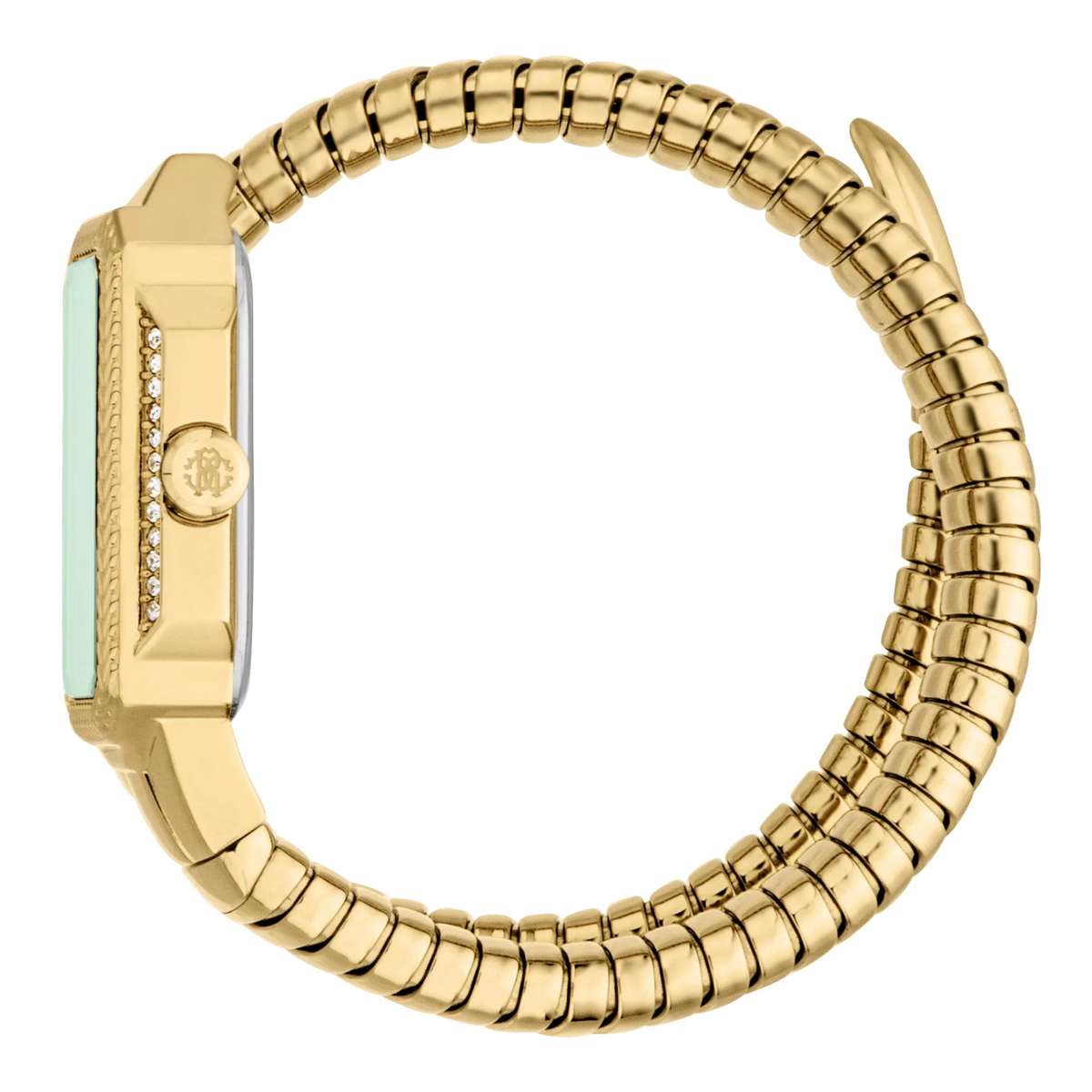 Roberto Cavalli Lady Watch 38mm Case Size