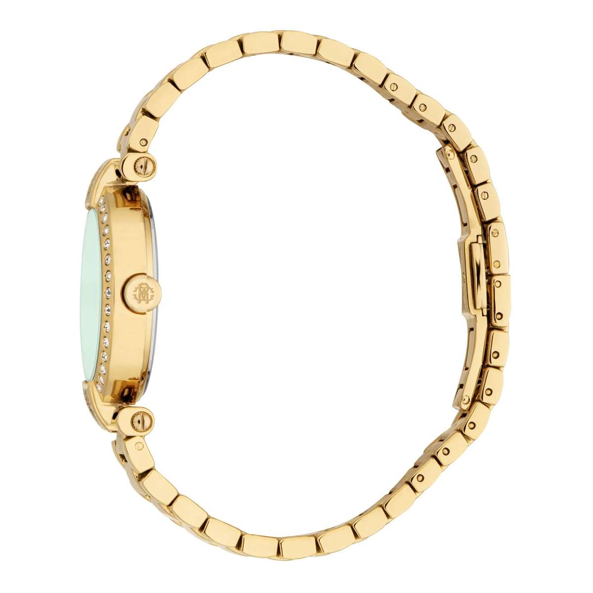 Roberto Cavalli Lady Watch with 38mm Case Size