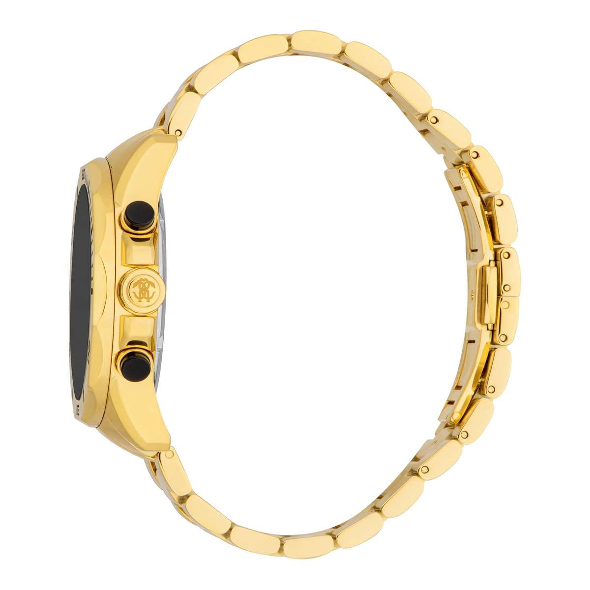 Roberto Cavalli Watch with 45mm Case Size