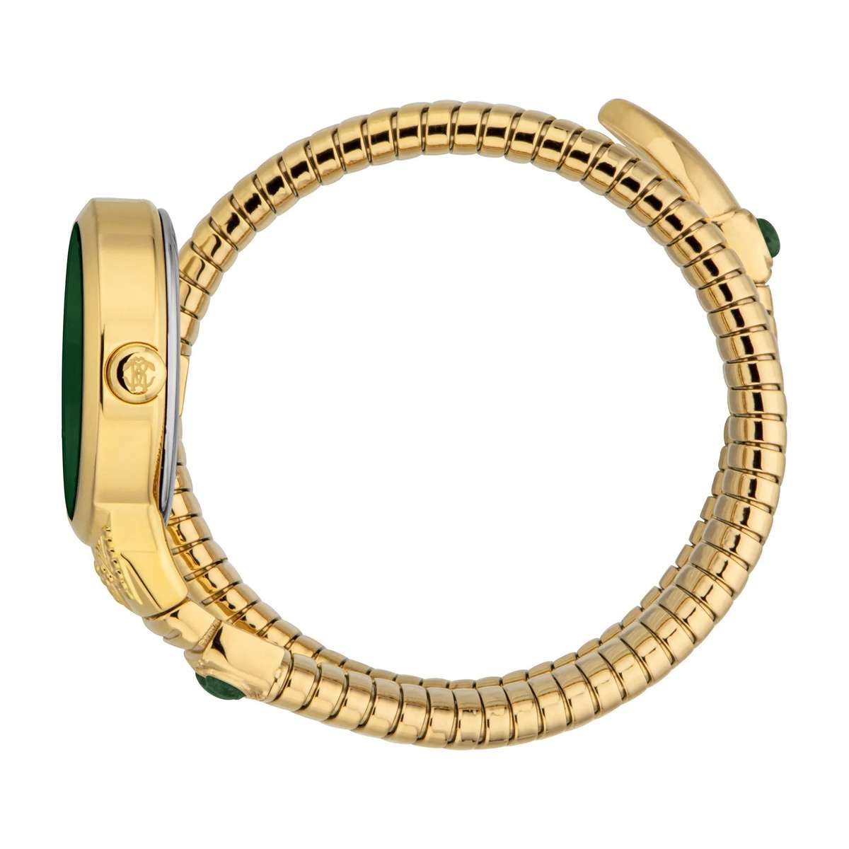 Roberto Cavalli Lady Watch with 38mm Case Size