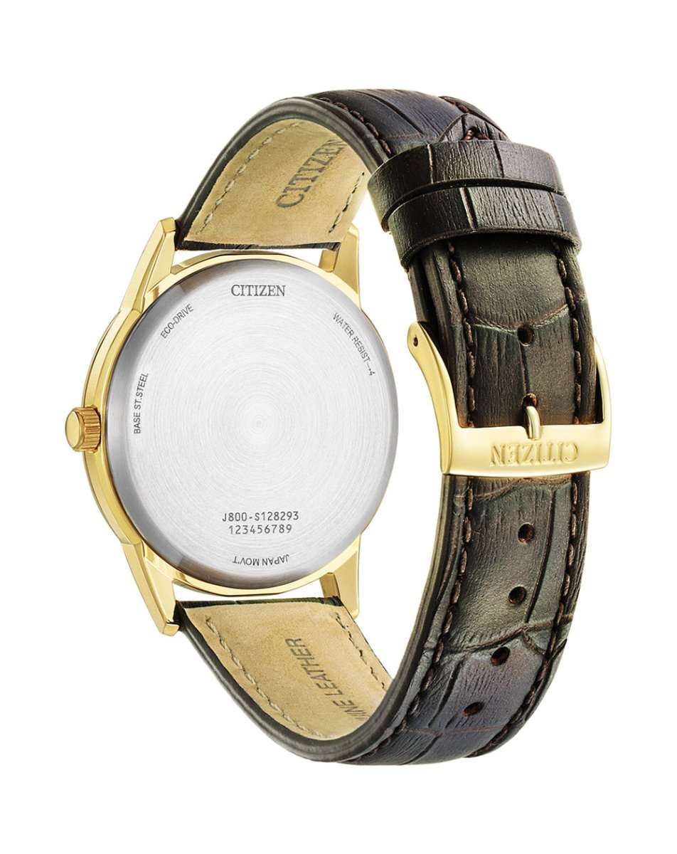 Citizen Eco-drive Sport Men's Dress Watch | AW0102-13A