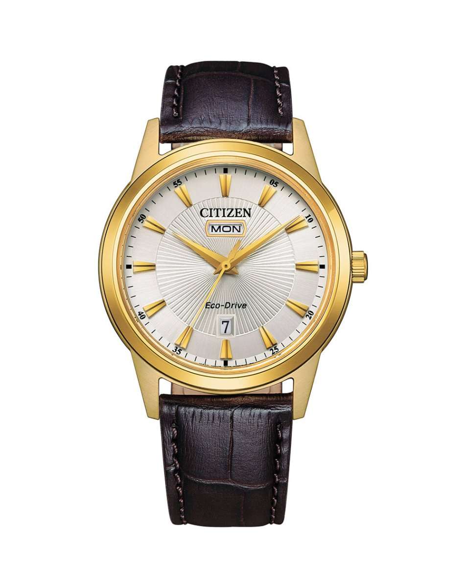 Citizen Eco-drive Sport Men's Dress Watch | AW0102-13A