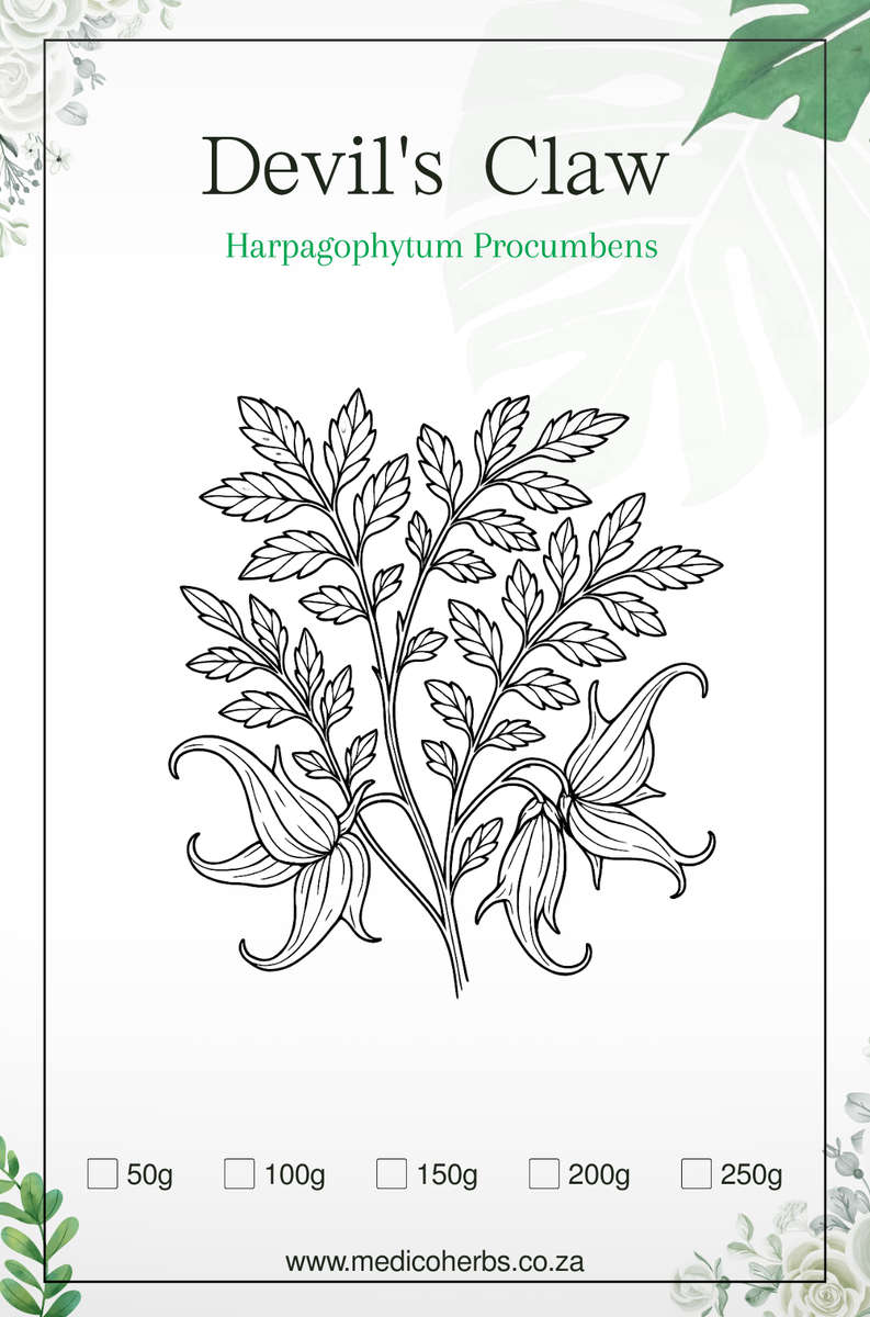 Devil's Claw Sliced (Harpagophytum Procumbens) 250g