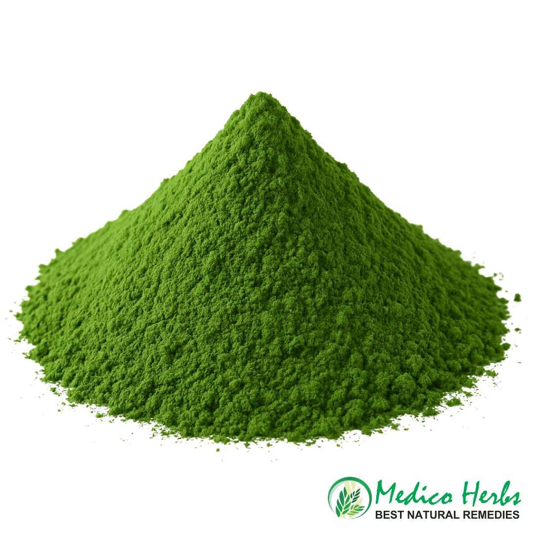 Alfalfa (Medicago sativa) Powder 5kg - 25kg