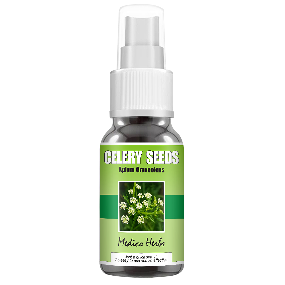 Celery Seeds Spray (Apium Graveolens) 50ml