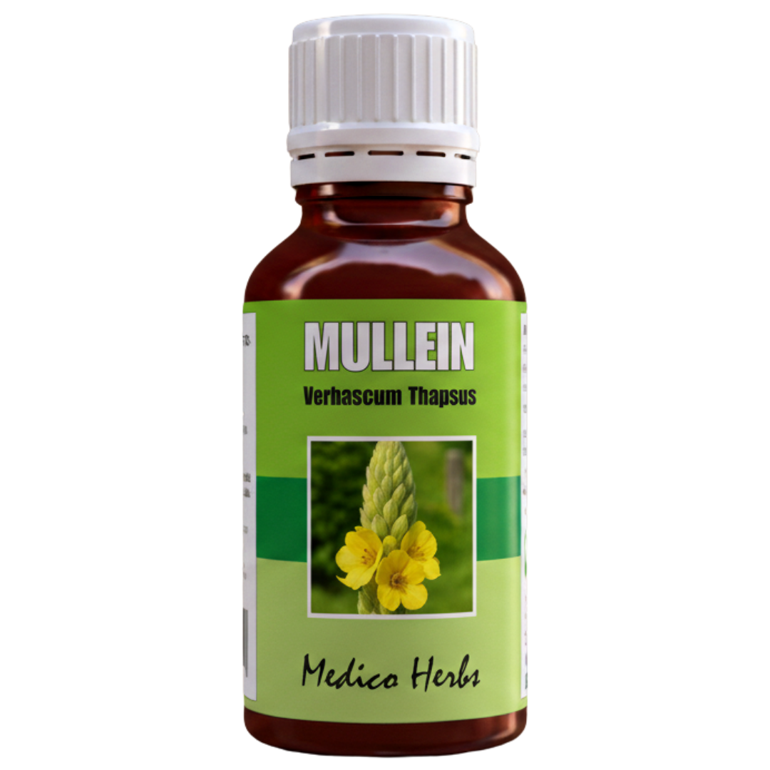 Mullein Drops (Verbascum Thapsus) 50ml