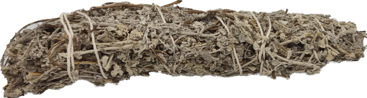 Imphepho (Helichrysum petiolare) Licorice-plant 50g bundled