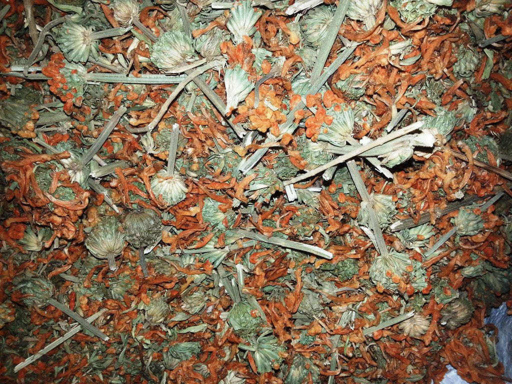 Wild Dagga (Leonotis Leonurus) 300gr whole plant