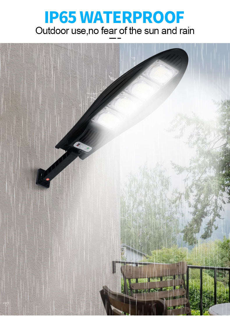 Solar Power Induction Street Light