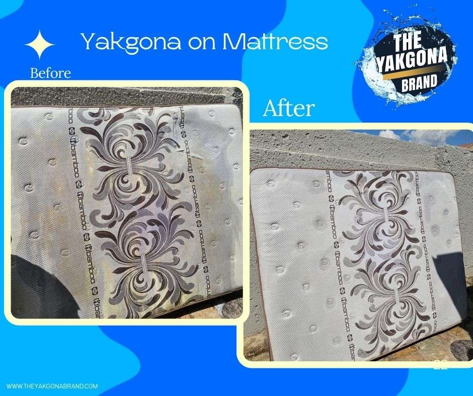 Yakgona Multipurpose Cleaner (Box of 12)