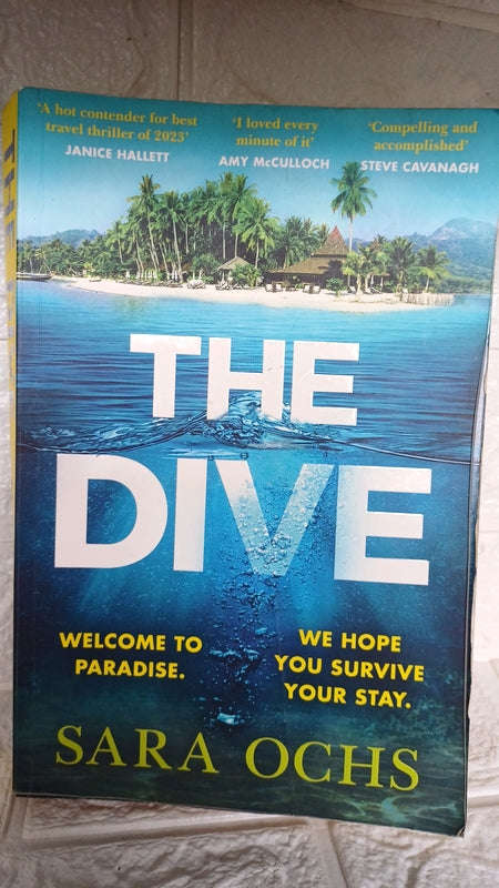 The Dive (Sara Ochs)
