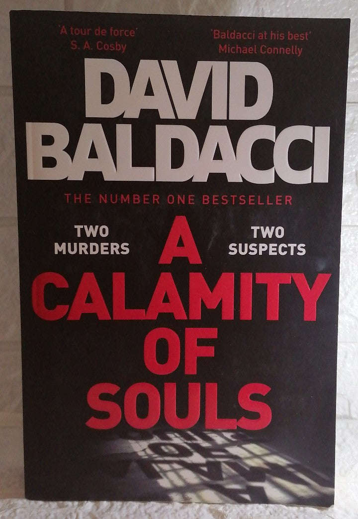 A Calamity of Souls (David Baldacci)