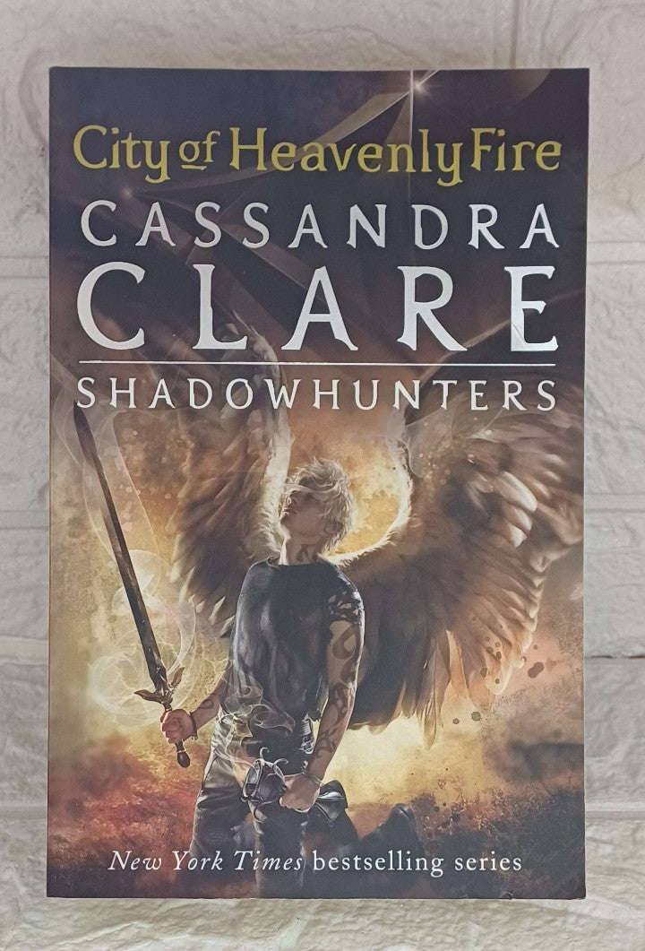 City of Heavenly Fire (The Mortal Instruments, #6) (Cassandra Clare)