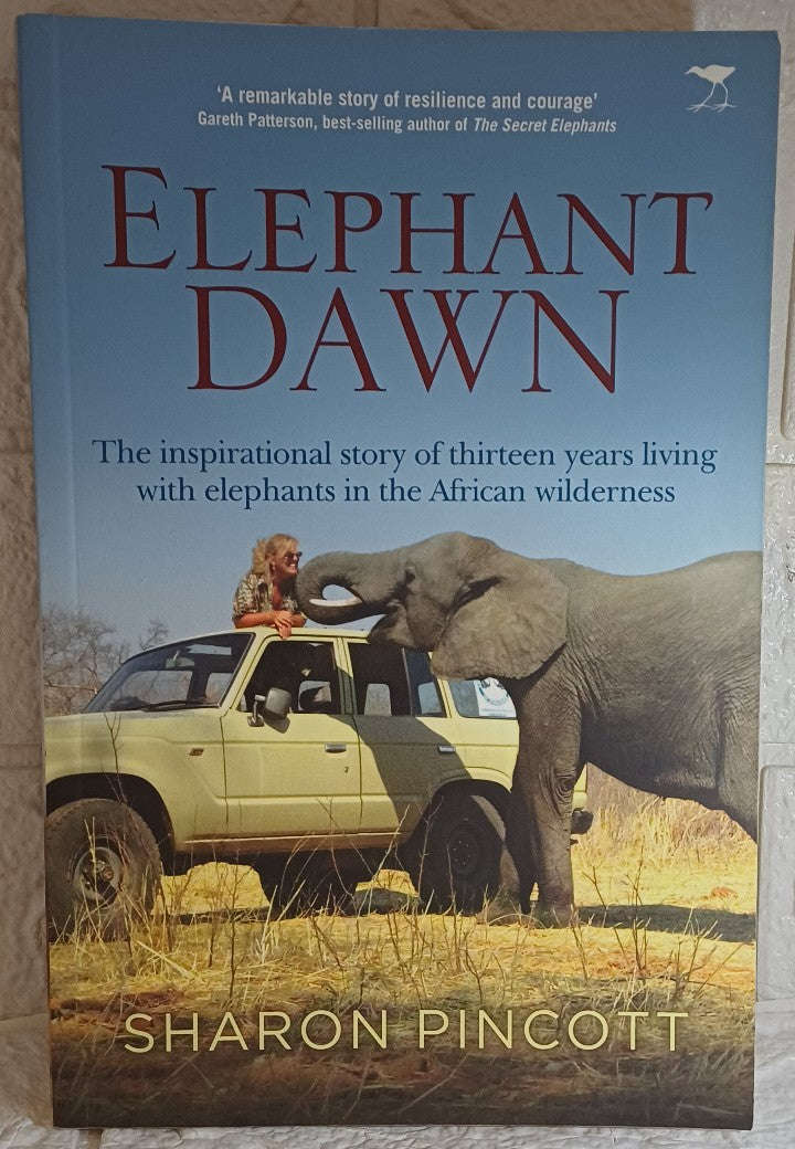 Elephant dawn (Sharon Pincott)