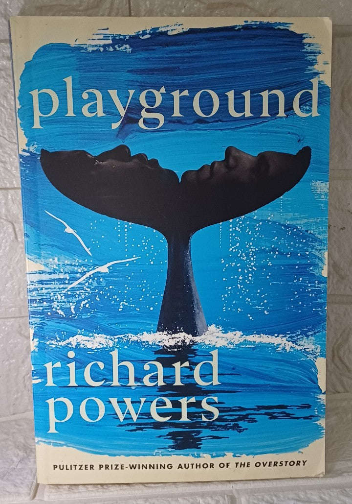Playground (Richard Powers)