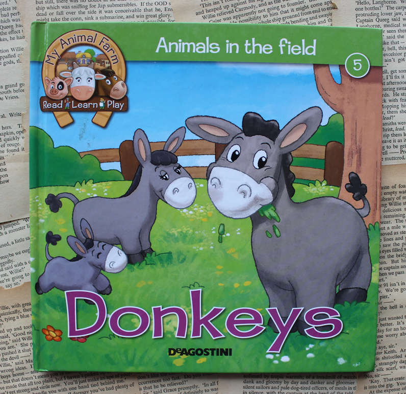 Animals in the field (Donkeys)