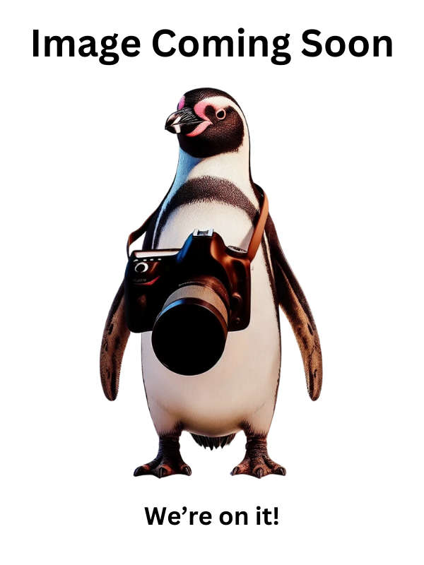 Maddaddam Margaret Atwood