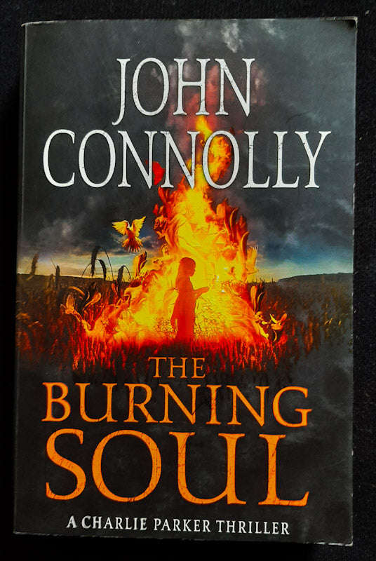 The Burning Soul (Charlie Parker #10) (John Connolly)