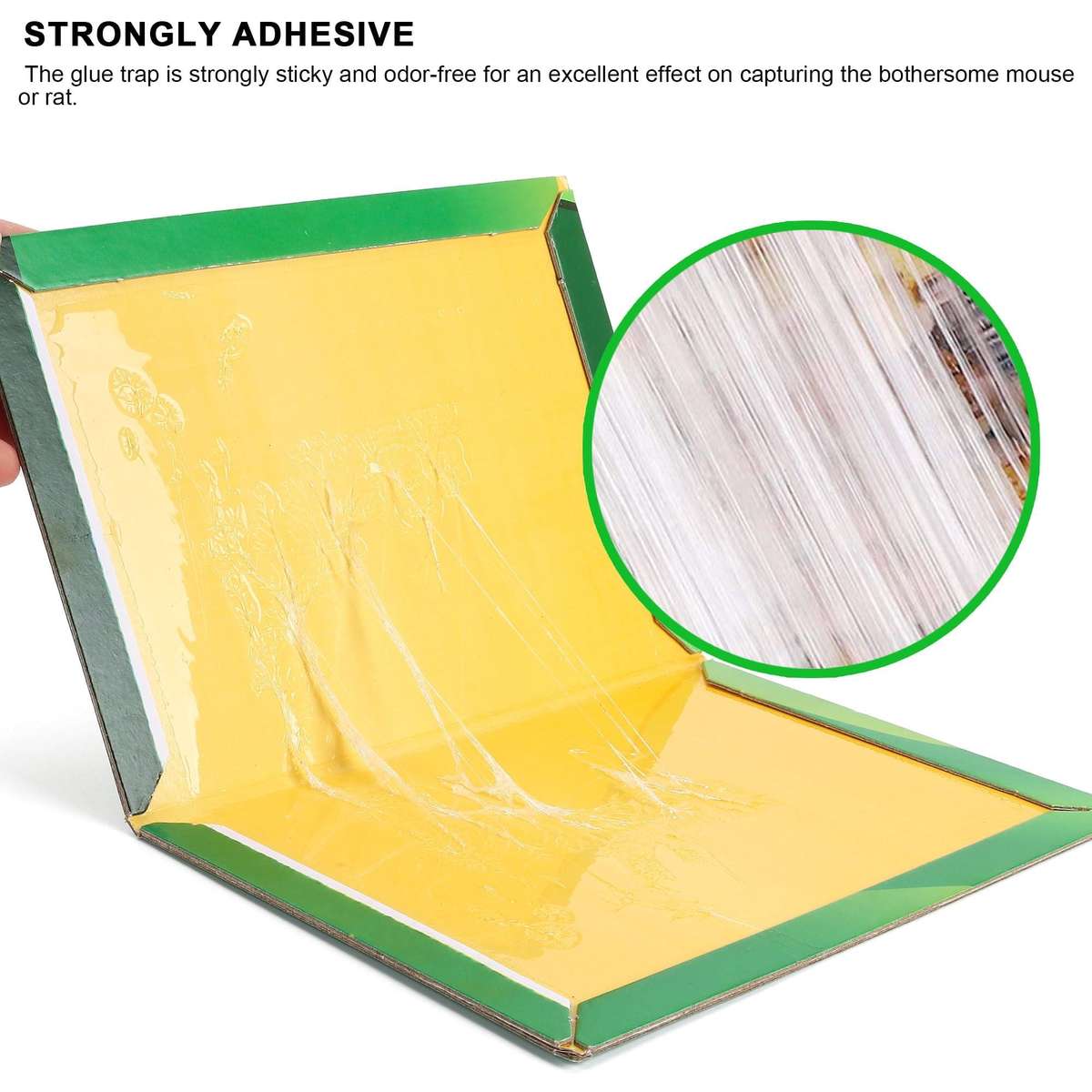 Mouse Glue Trap ( Big - Packs of 2)