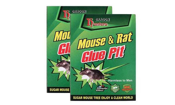 Mouse Glue Trap ( Big - Packs of 2)