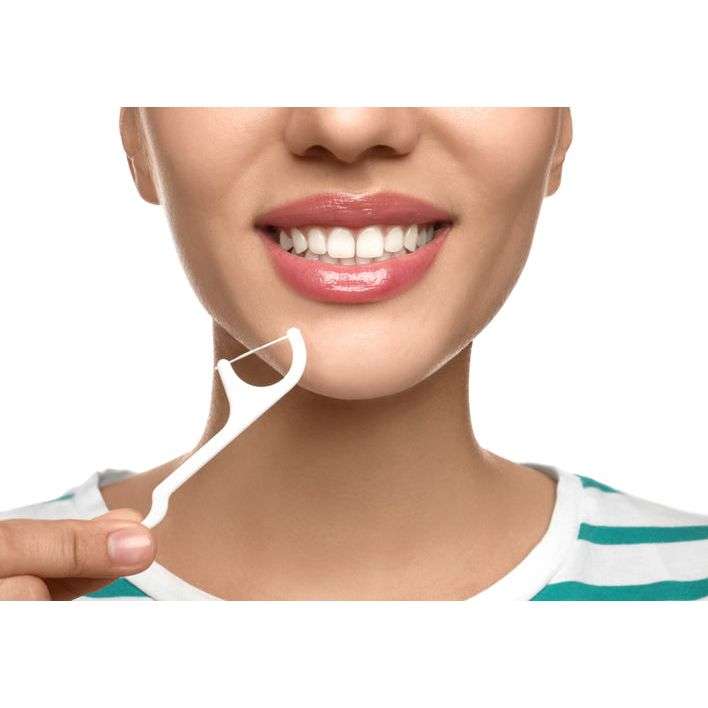 Floss Picks - 100 Picks