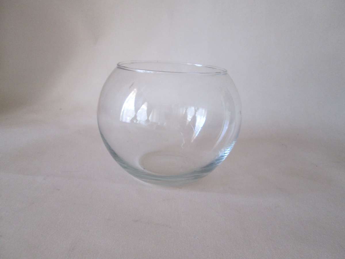 Bubble Glass Vase  x Fish Bowl 11x12cm