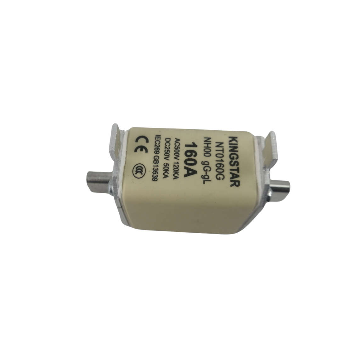 Kingstar Knife Battery Fuse 160A 120KA