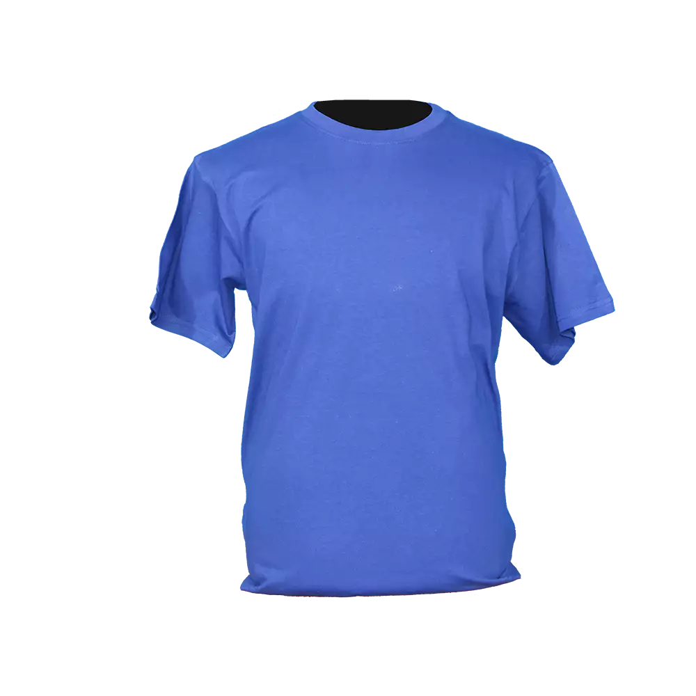 Royal Blue Crew neck T-shirt 160g