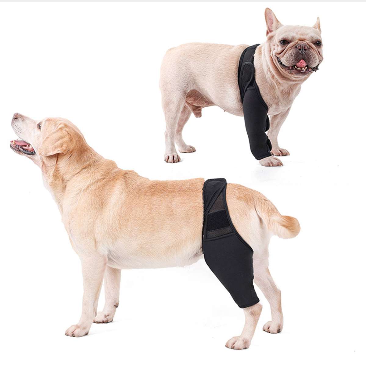 Dog Recovery Sleeve Front Rear Leg Support Brace for Injury Sprain Relieve Pain