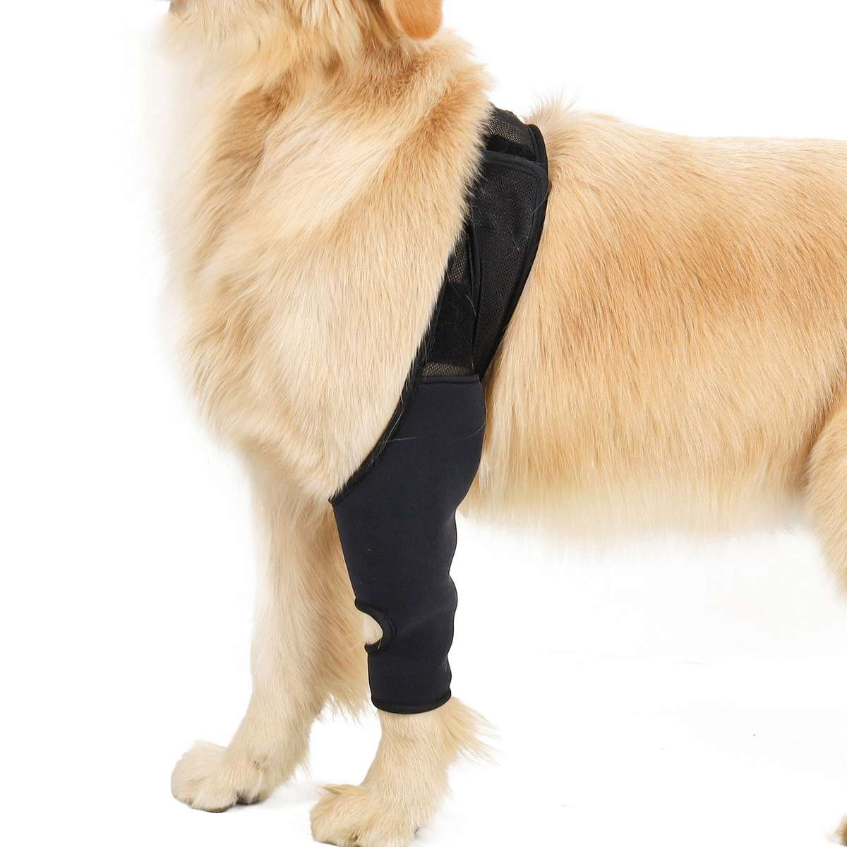 Dog Recovery Sleeve Front Rear Leg Support Brace for Injury Sprain Relieve Pain