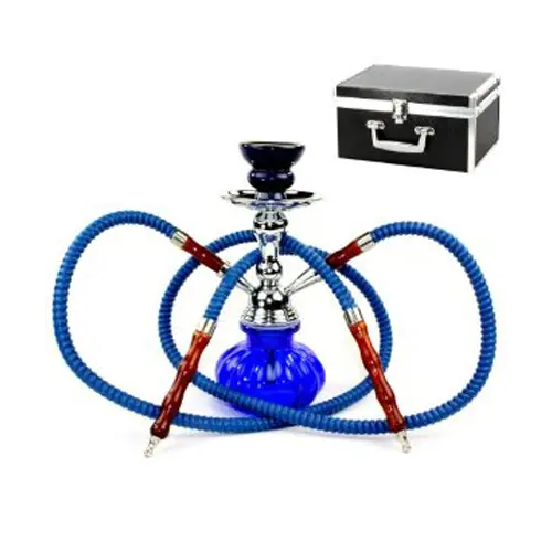 Hubbly Bubbly Pumpkin Hookah  2 pipes with case