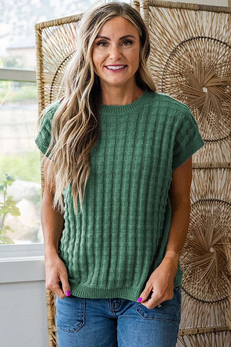 Mist Green Solid Color Round Neck Textured Short Sleeve Sweater