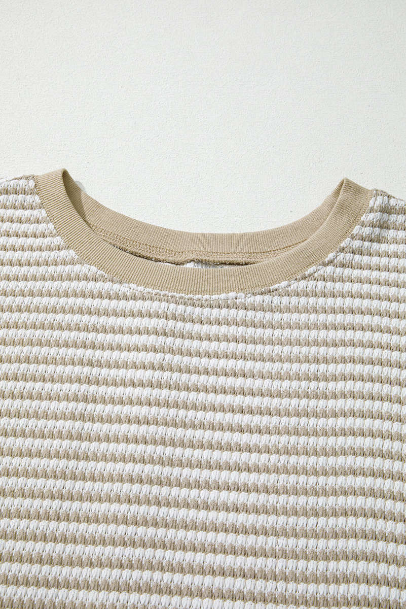 Brown Stripe Plus Size Breathable Knit Ribbed Trim Long Sleeve Top