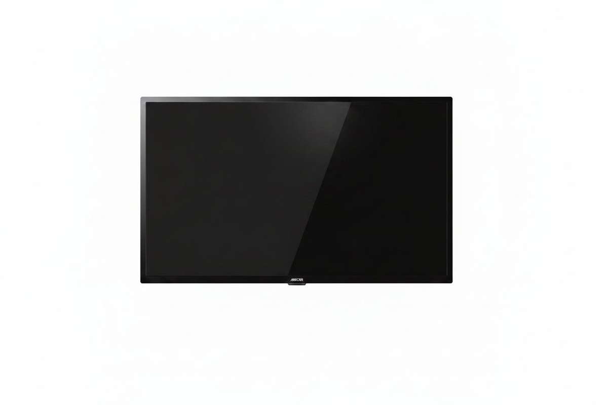 Mecer 32L11 32-Inch HD LED Professional Display  No Stand & Remote - Refurb