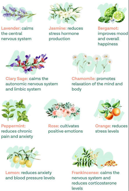 ESS OIL 8 BOTTLES (E)