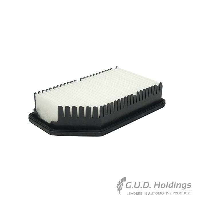 Fram Air Filter Hyundai Accent/Kia Rio 3 CA11206