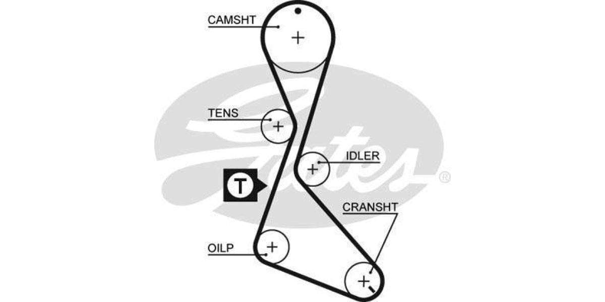 Timing Belt Renault R11 Tx,Txe F2N