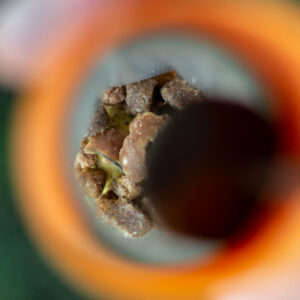 Monster Carp PVA Loader