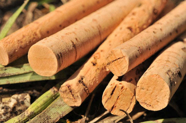 Korda Spare Cork Sticks