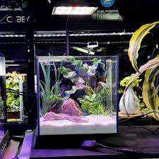 Dymax GS3 Cubey Aquarium  Freshwater (10.5L)