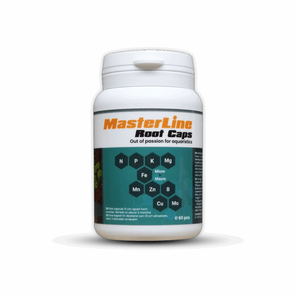 Masterline Root Caps  60 pcs