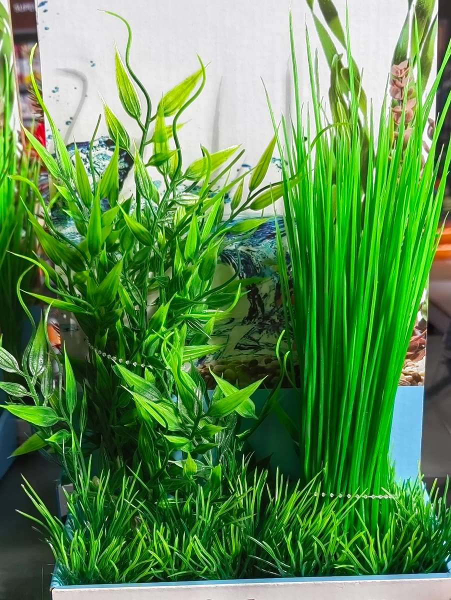 Plastic Plant