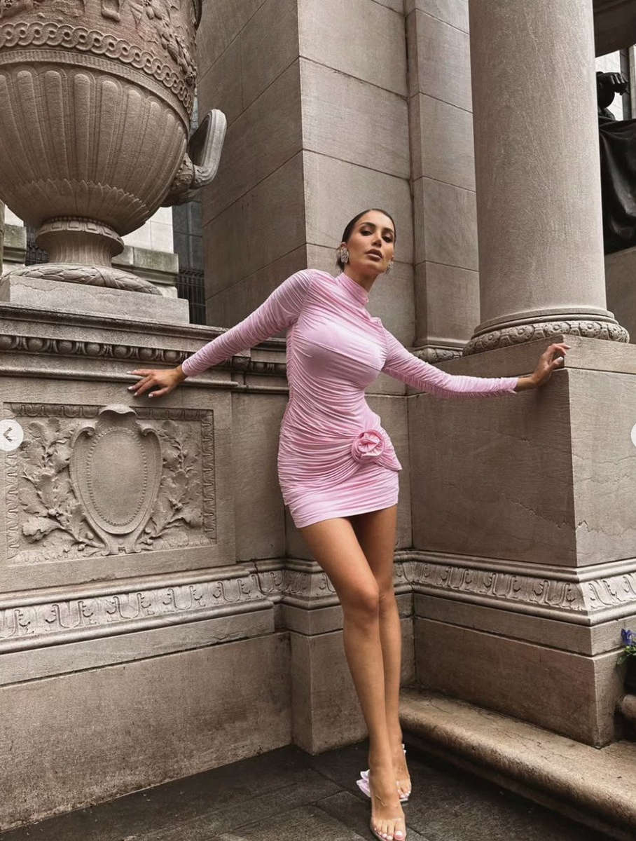 Rosy Affair Dress
