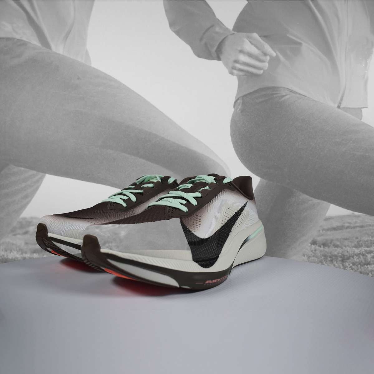 Nike Pegasus 42 Men's Ironstone/Black Road Running Shoes