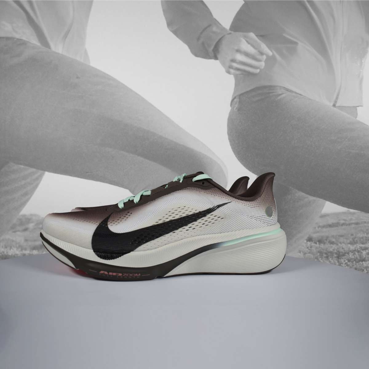 Nike Pegasus 42 Men's Ironstone/Black Road Running Shoes