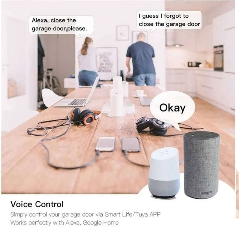 Garage door / gate opener controller