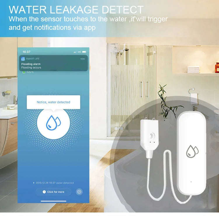 Water Leak detector