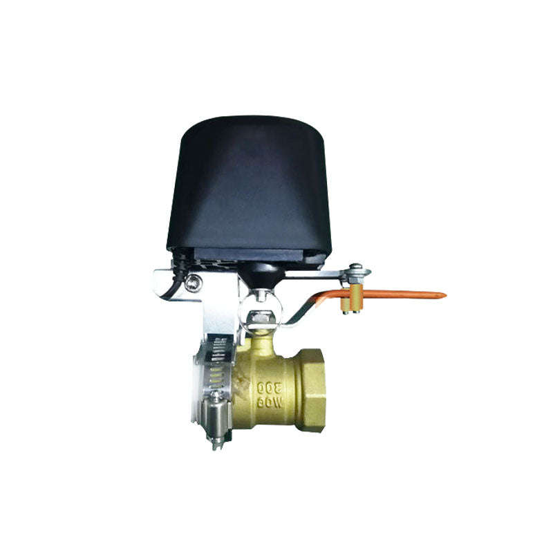 Water / gas valve remote control